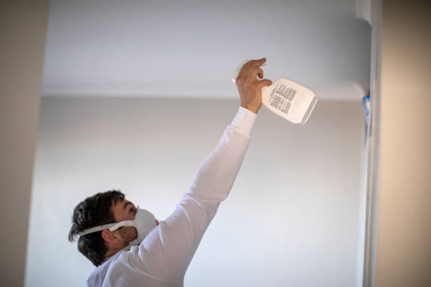 Best Home Mold Removal  in Lake Mary, FL