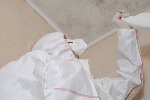 Best Mold Removal Process  in Lake Mary, FL